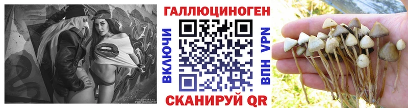 Галлюциногенные грибы Magic Shrooms  Баксан 